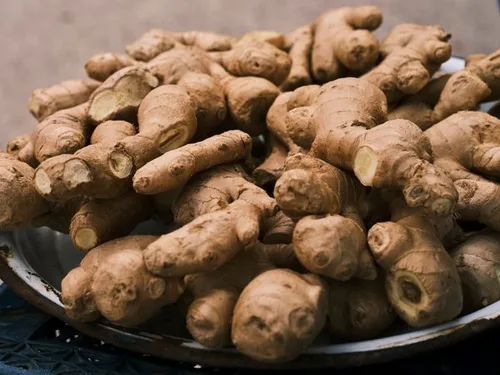 Fresh ginger root, source of ginger root extract used in Balmorex Pro