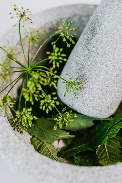 Assorted natural herbs representing the rest of the 27-ingredient formula