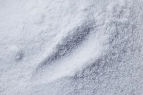 MSM powder, a joint-support ingredient in Balmorex Pro